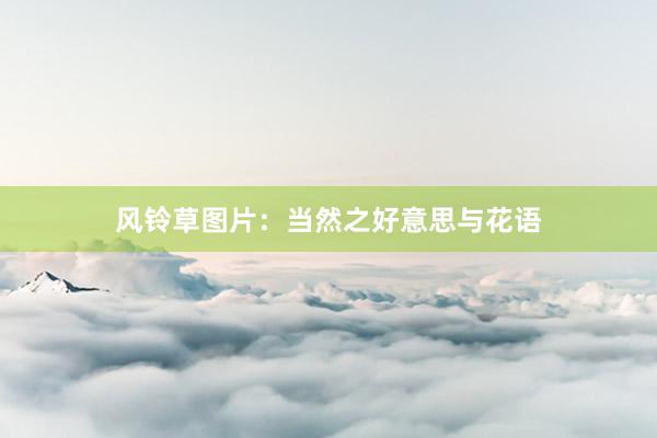 风铃草图片：当然之好意思与花语
